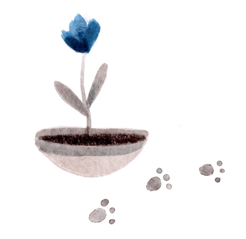 Illustration of a blue flower growing in a small pot with paw prints beside it