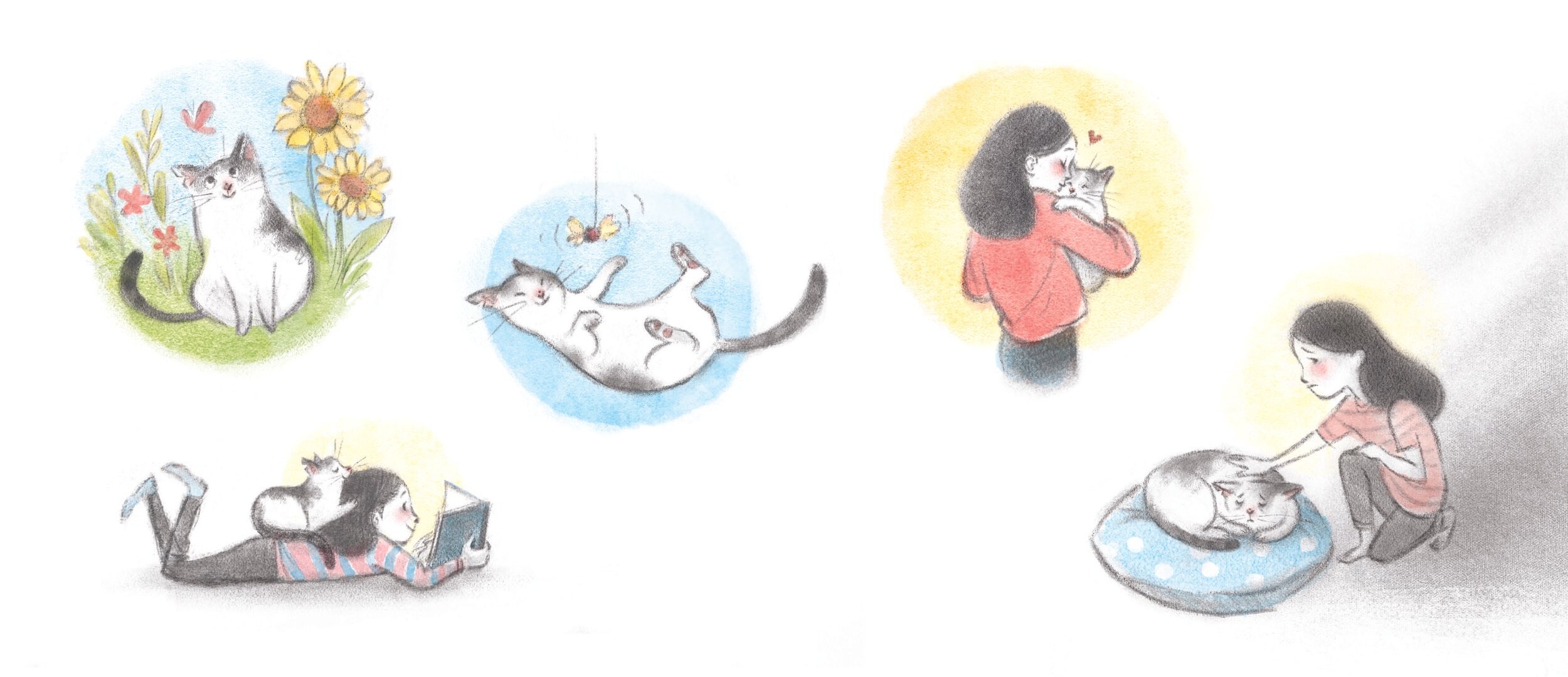 A montage of the cat among sunflowers, playing with a butterfly toy, being hugged, and curled up on a pillow