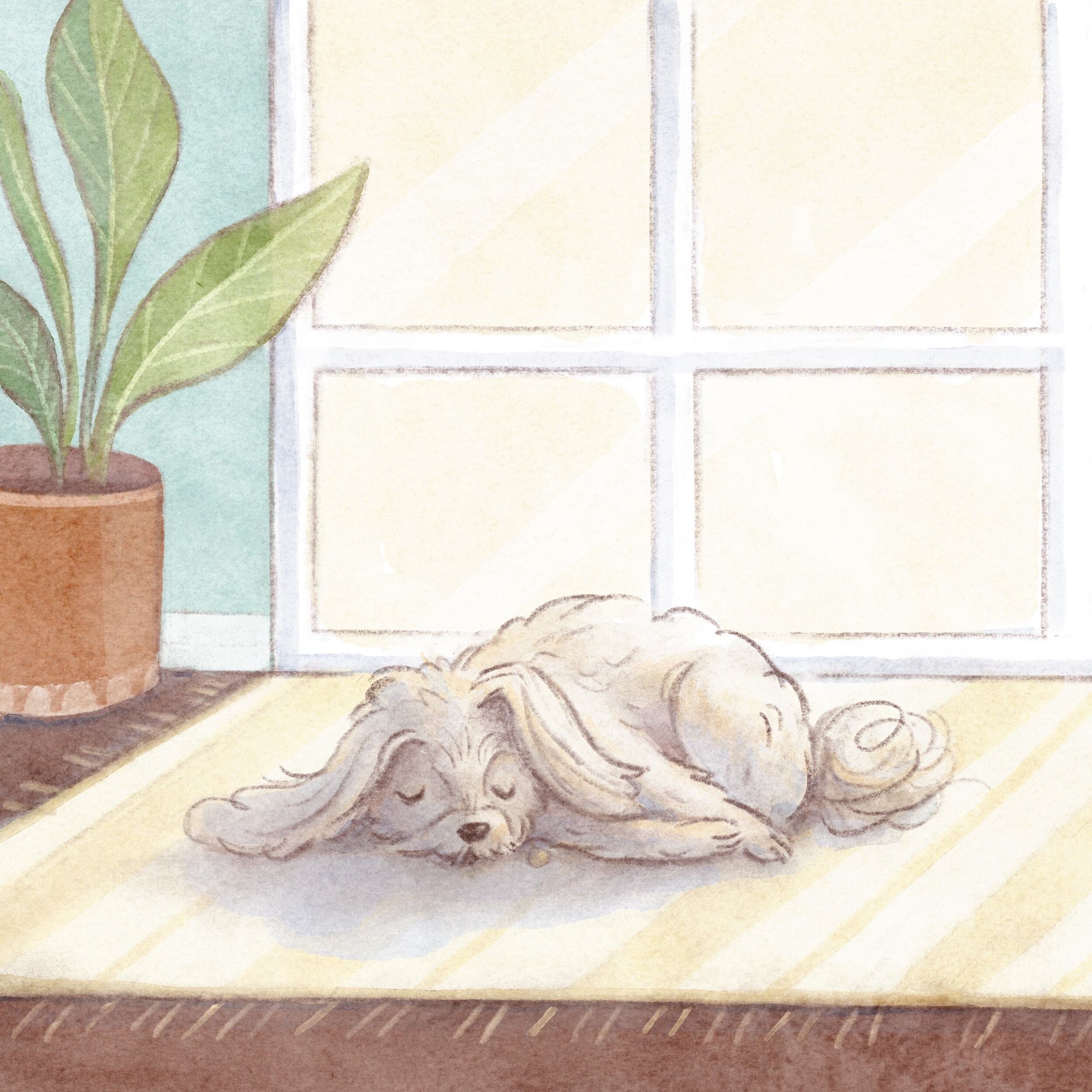 Dog sleeping on a sunlit floor beside a potted plant and window