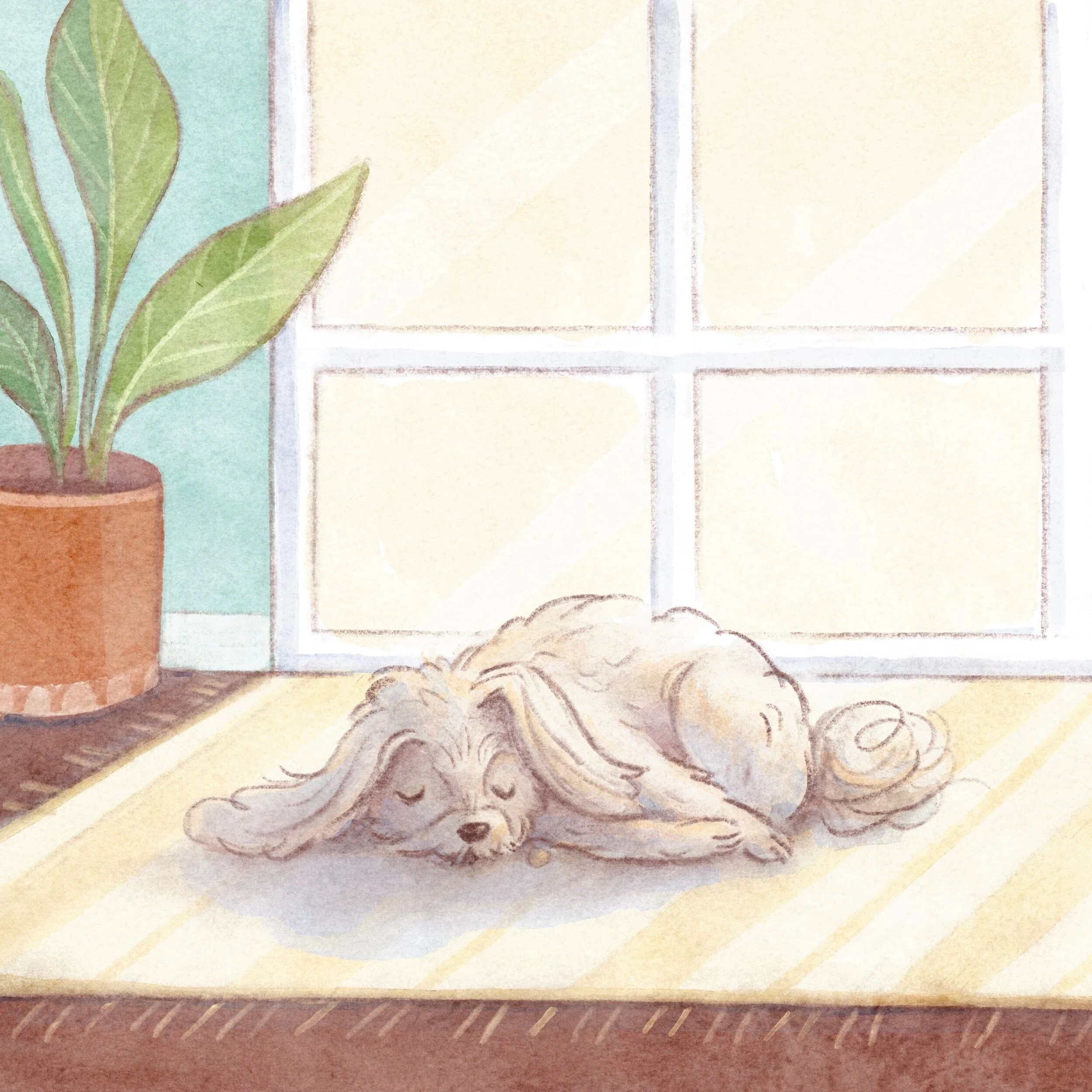 Dog sleeping on a sunlit floor beside a potted plant and window