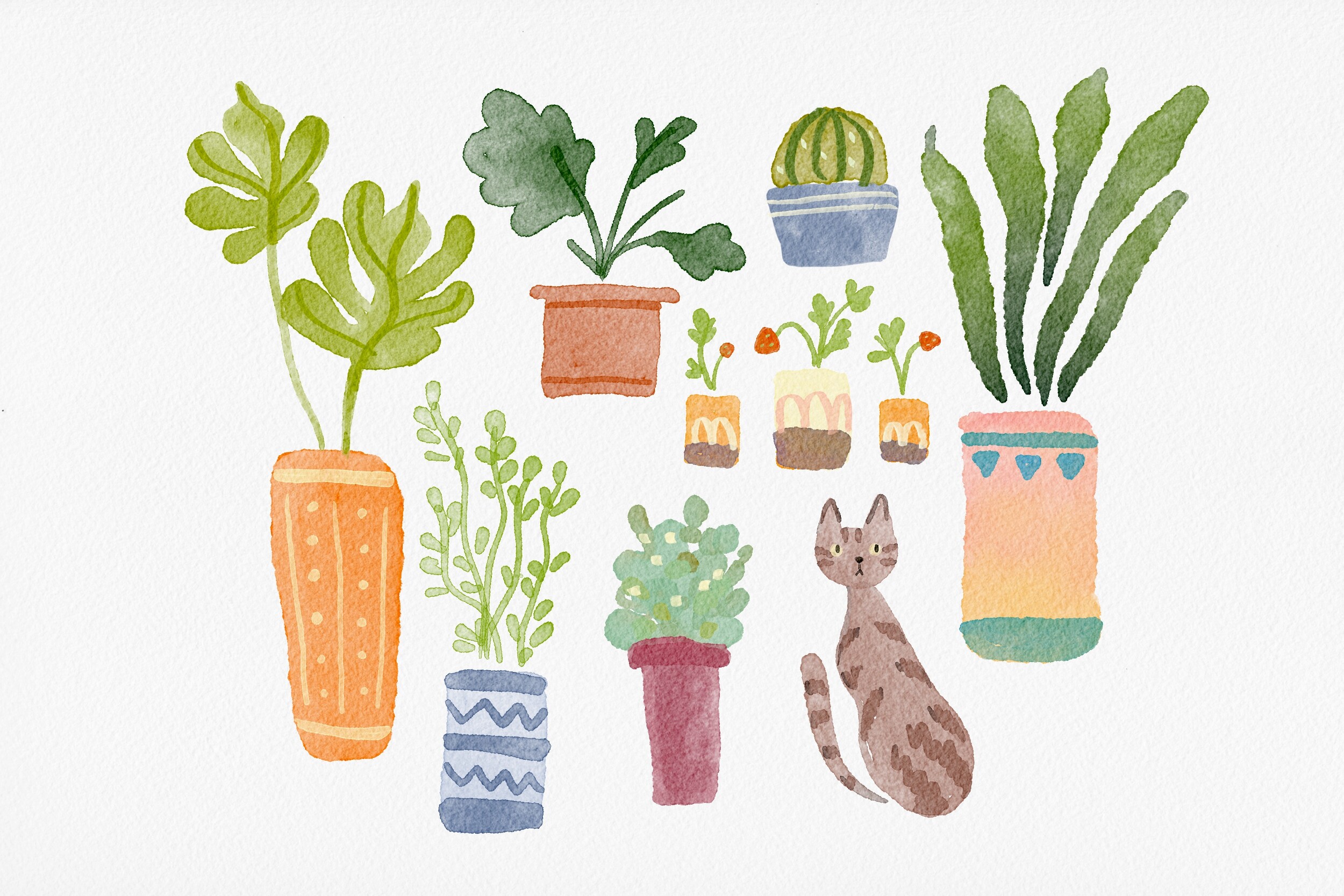 Collection of watercolor potted plants and a tabby cat