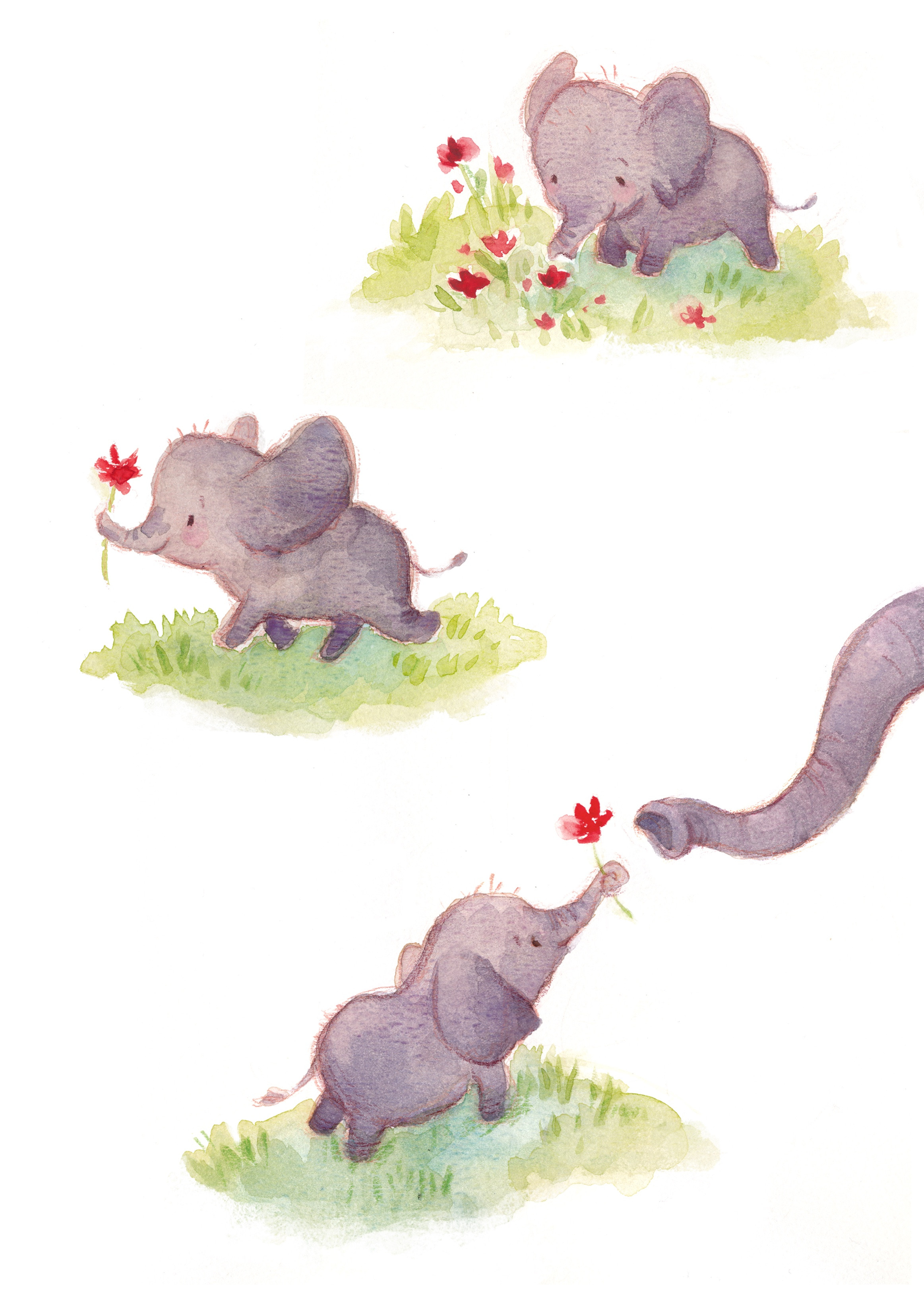 Two elephants playing in a meadow