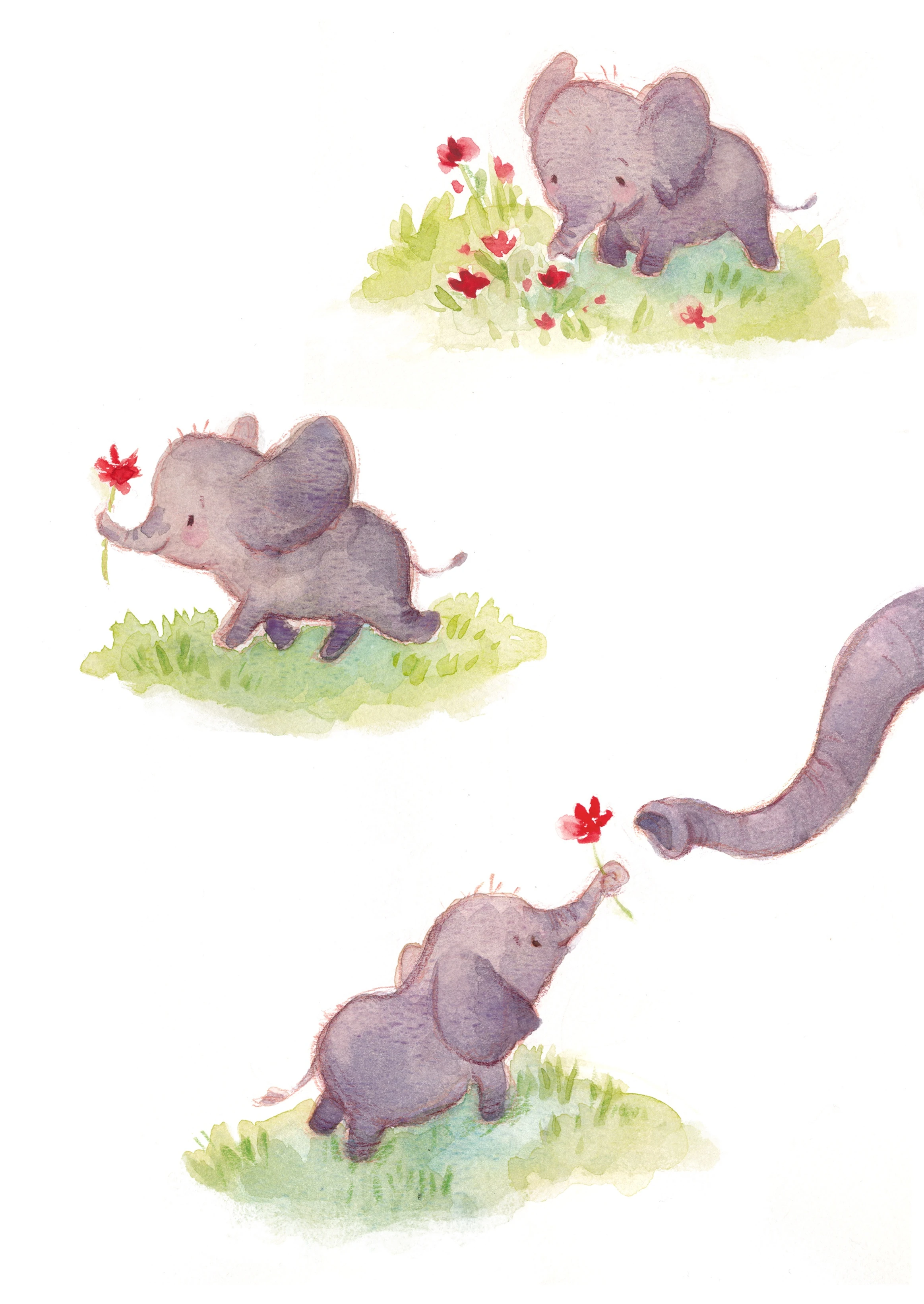 Two elephants playing in a meadow
